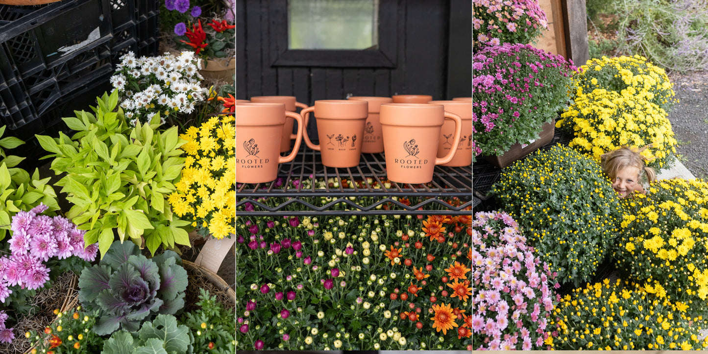 Rooted Flowers Shop