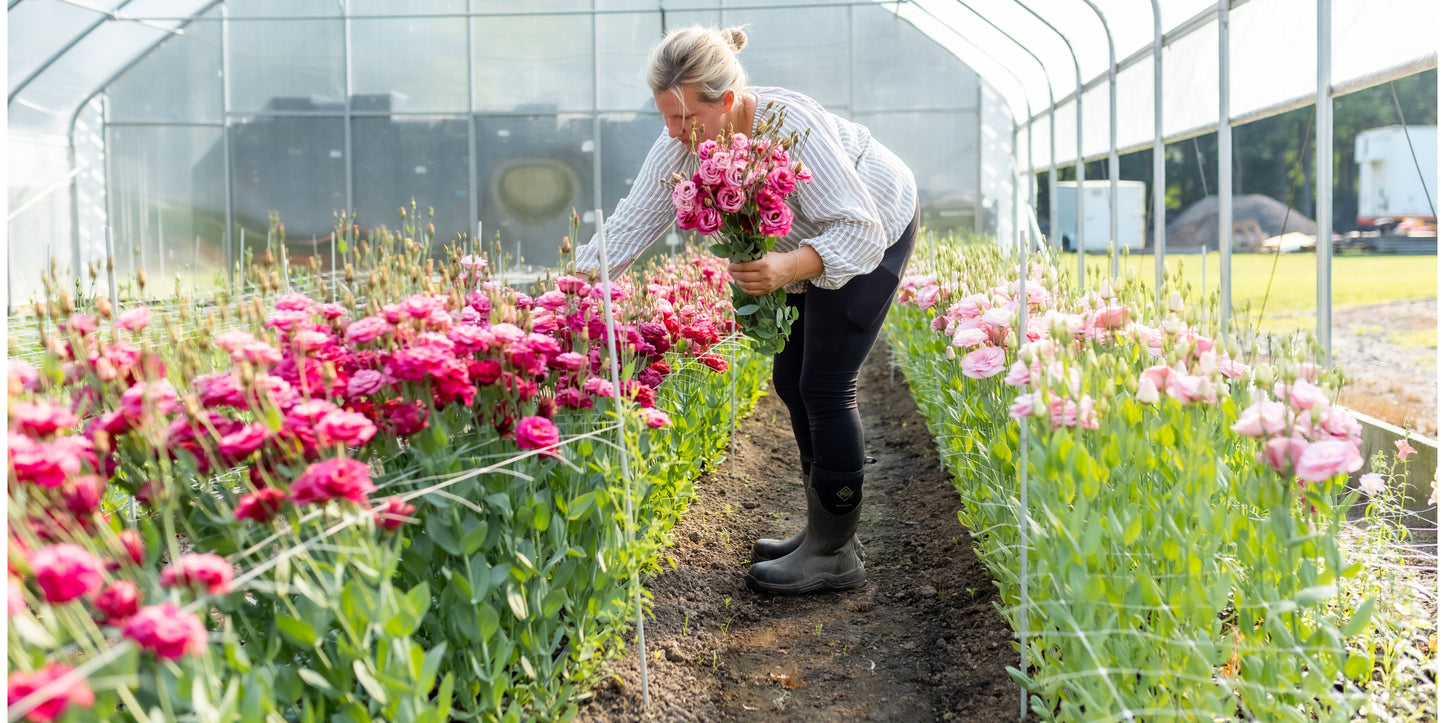 Flower Subscriptions | Rooted Flowers