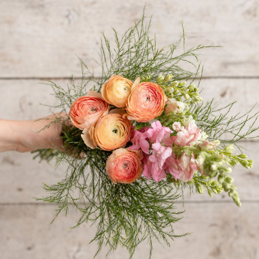 
                  
                    Mother's Day Special
                  
                