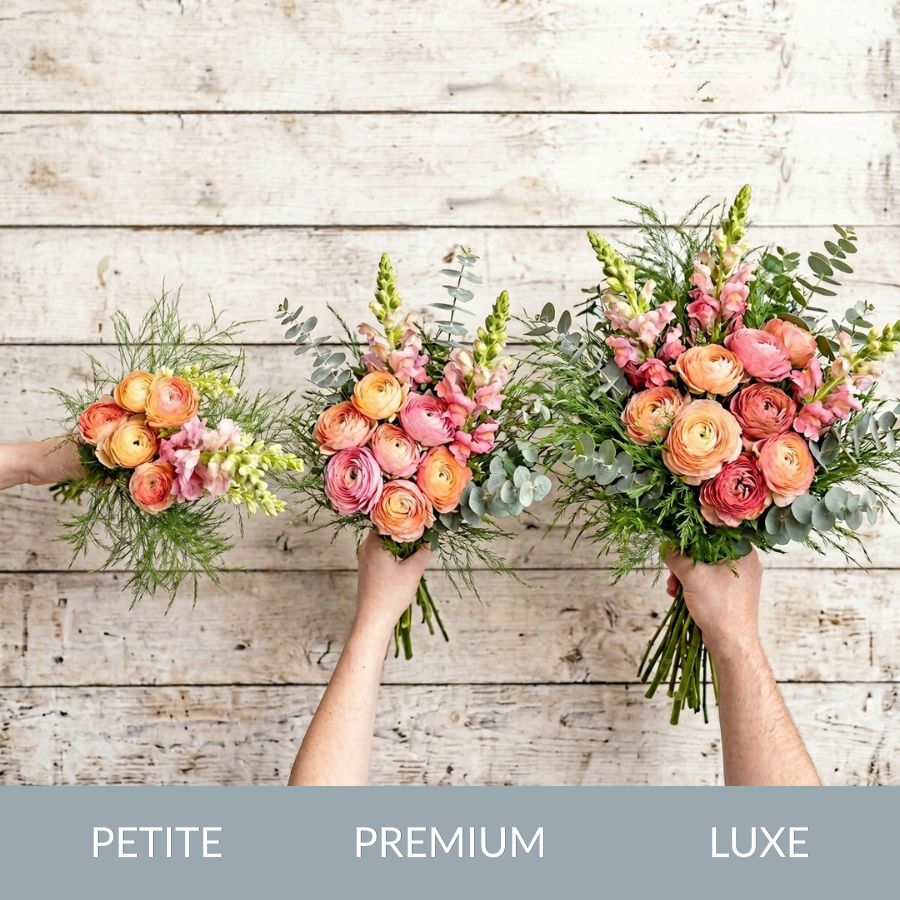 
                  
                    Mother's Day Special
                  
                