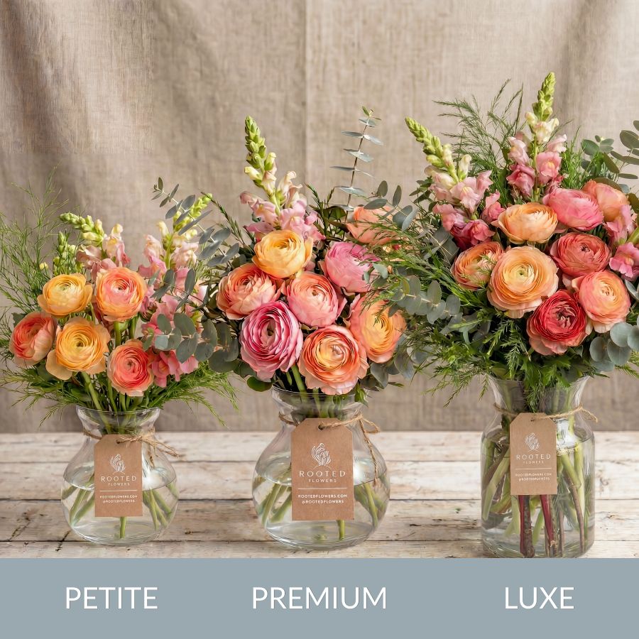 
                  
                    Mother's Day Special
                  
                