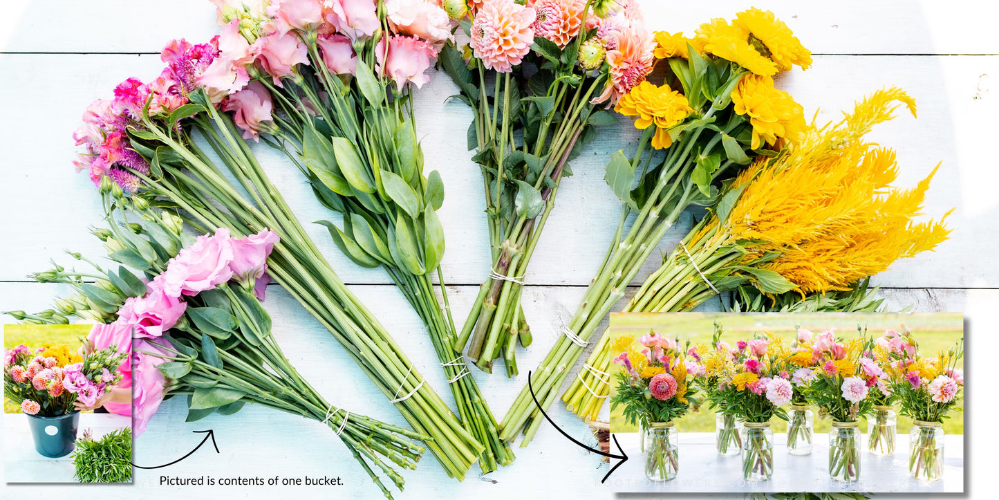 Rooted Flowers Shop
