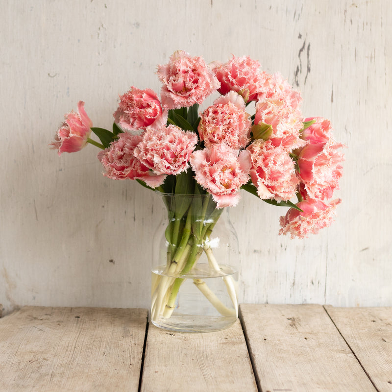 
                  
                    Pink fringed tulips with pale ruffled edges in a clear glass vase on a wooden table.
                  
                