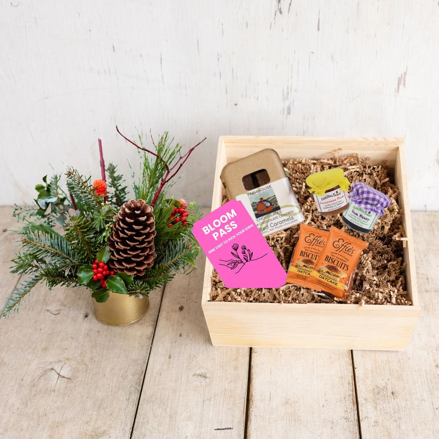 The Roots Collection