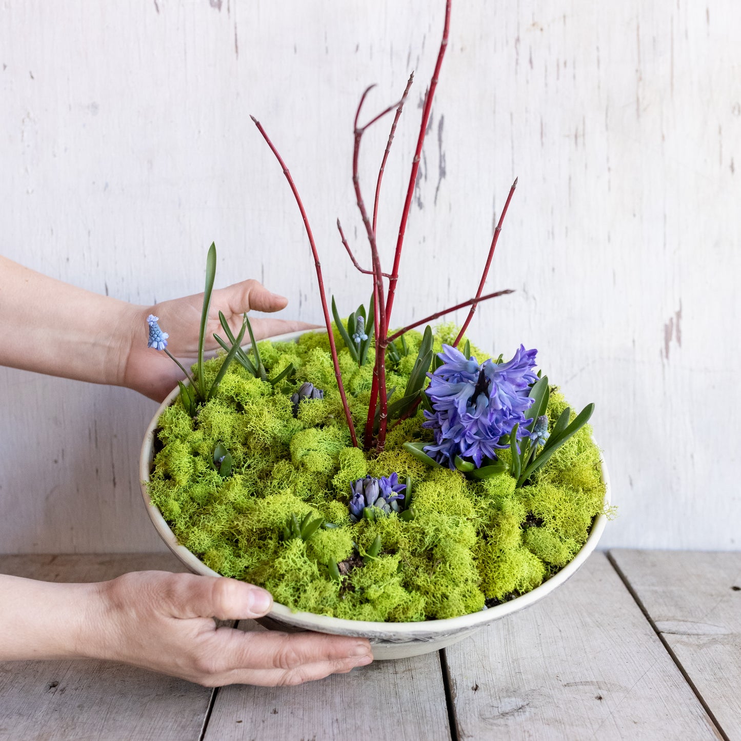 
                  
                    Indoor Blooming Bowl – Tulips, Daffodils, Hyacinths & Muscari
                  
                