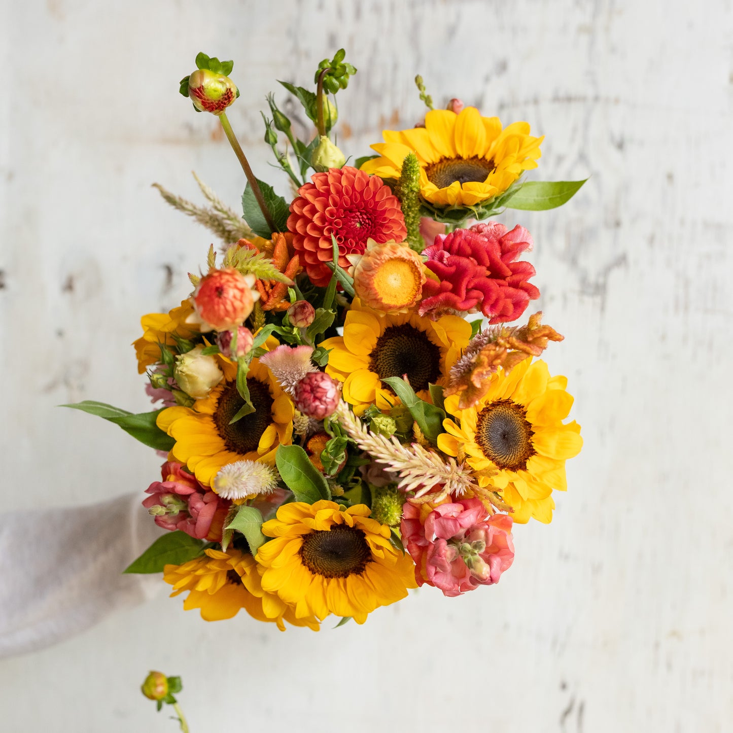 
                  
                    Bouquet Subscription (Designed for You)
                  
                
