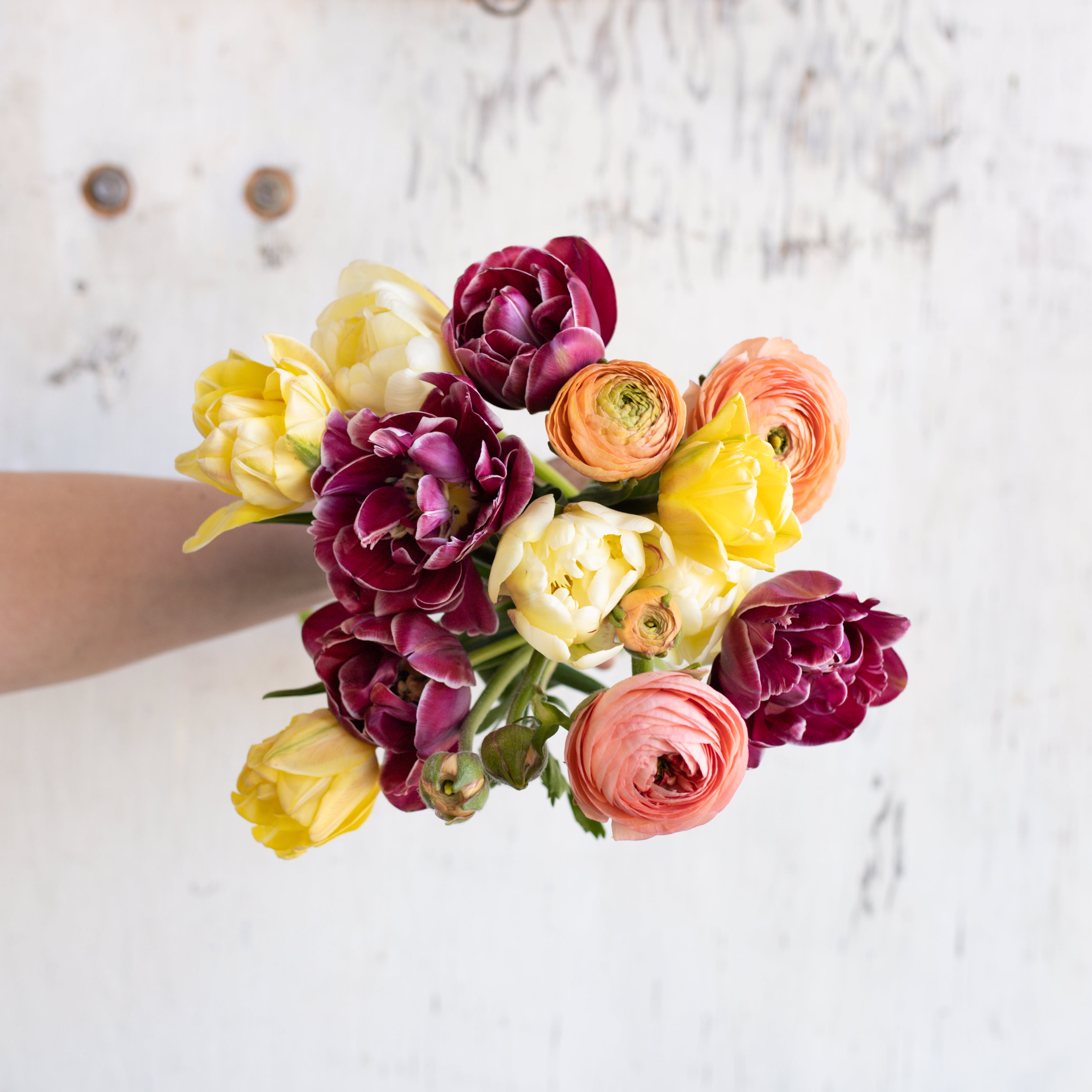 Specialty Tulip & Ranunculus Bouquet – Rooted Flowers Shop