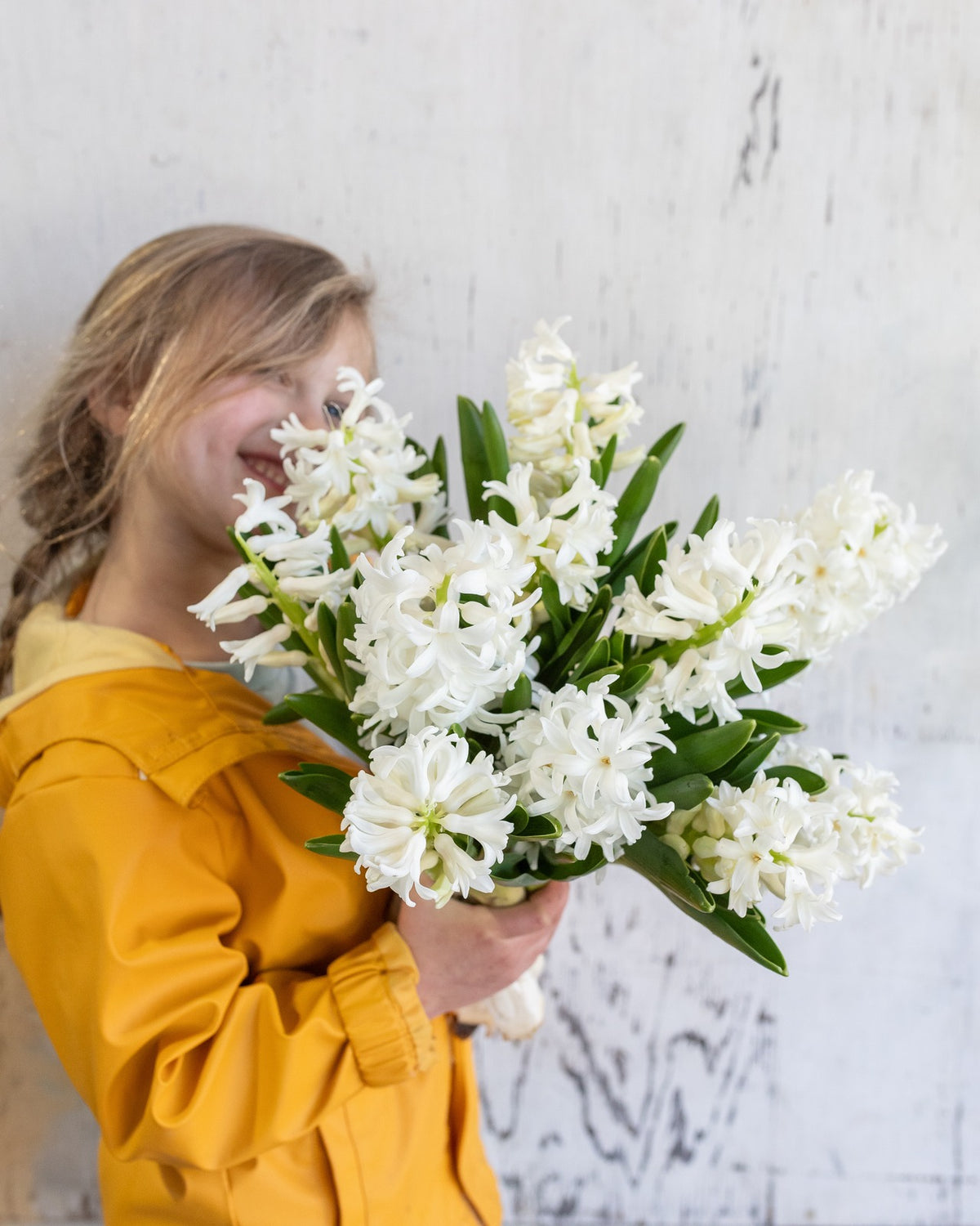 Hyacinths — early