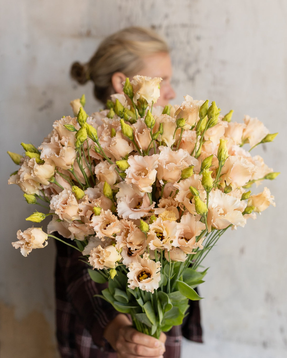 Lisianthus — peach