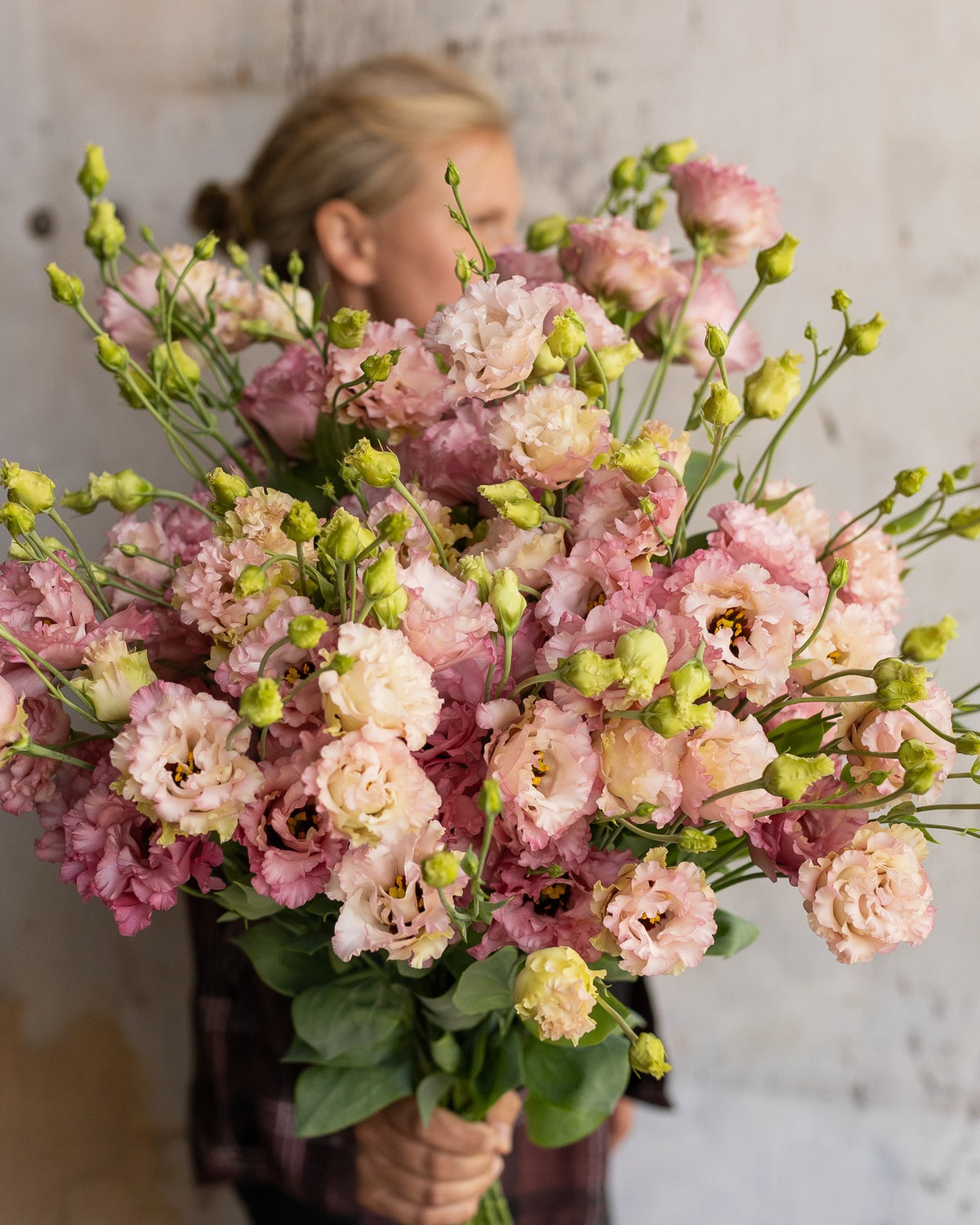 Lisianthus — pink
