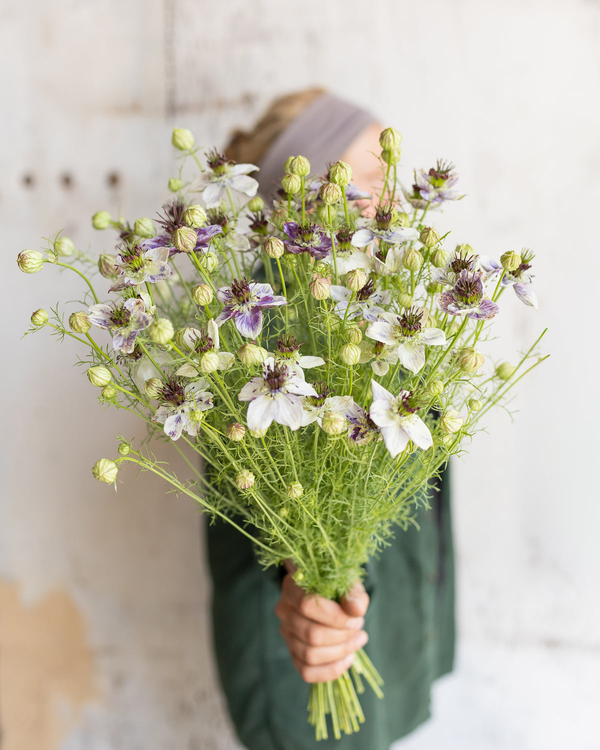 Full handful of white and lilac nigella flowers with fine foliage