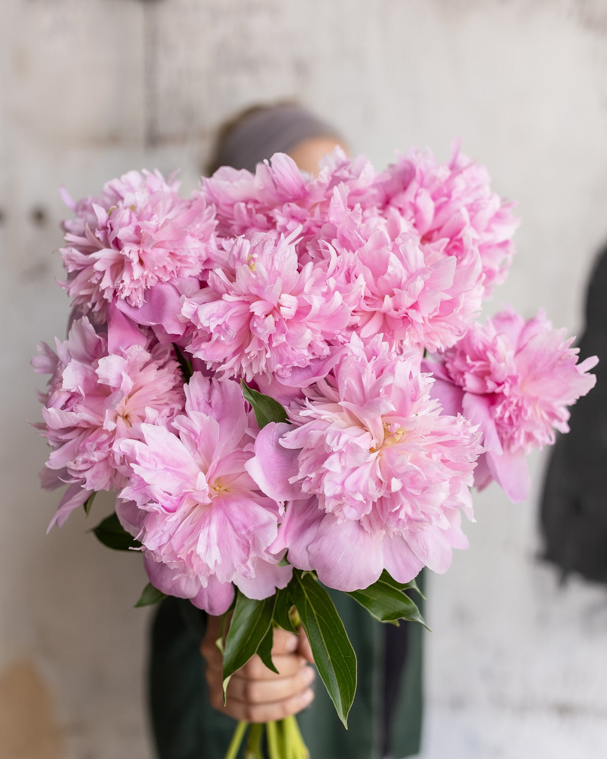 Peonies
