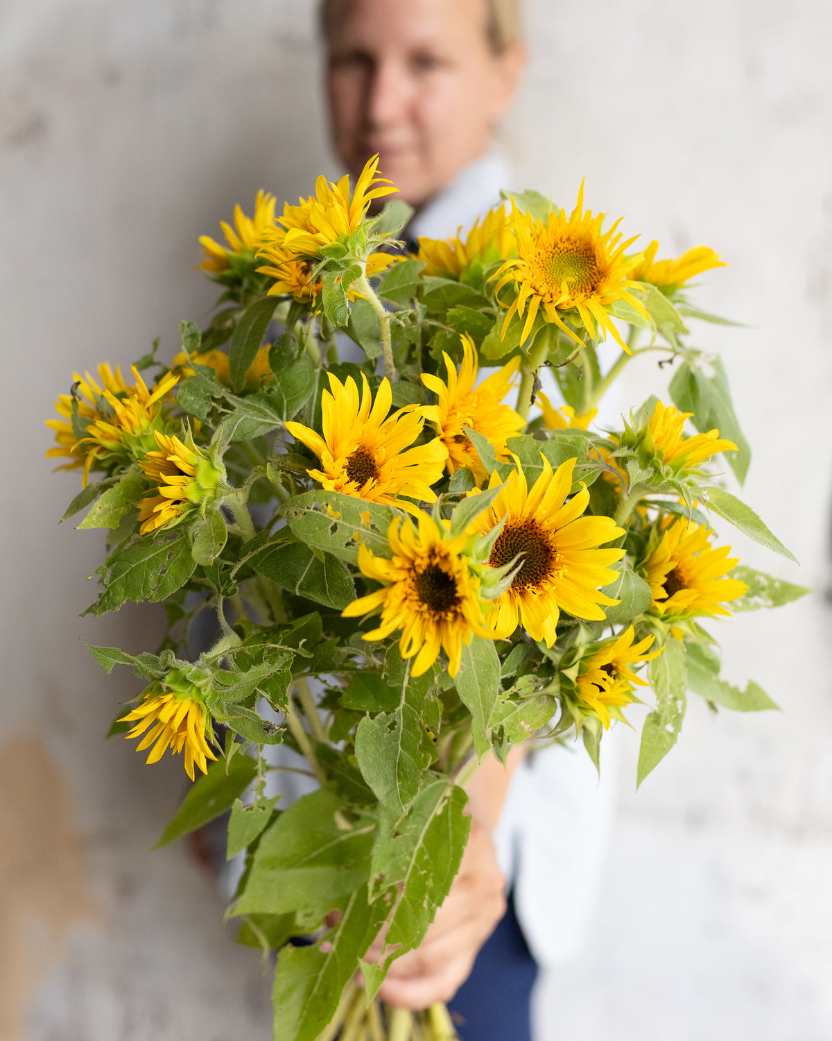 Full bunch of branching yellow sunflowers held at Rooted Flowers