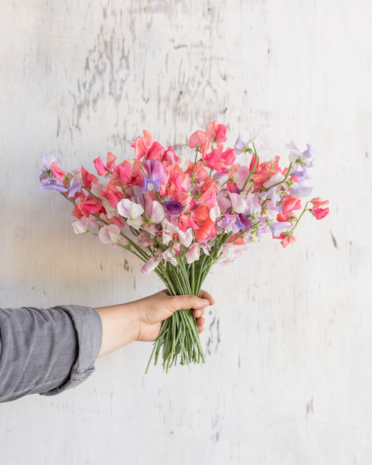 Sweet peas