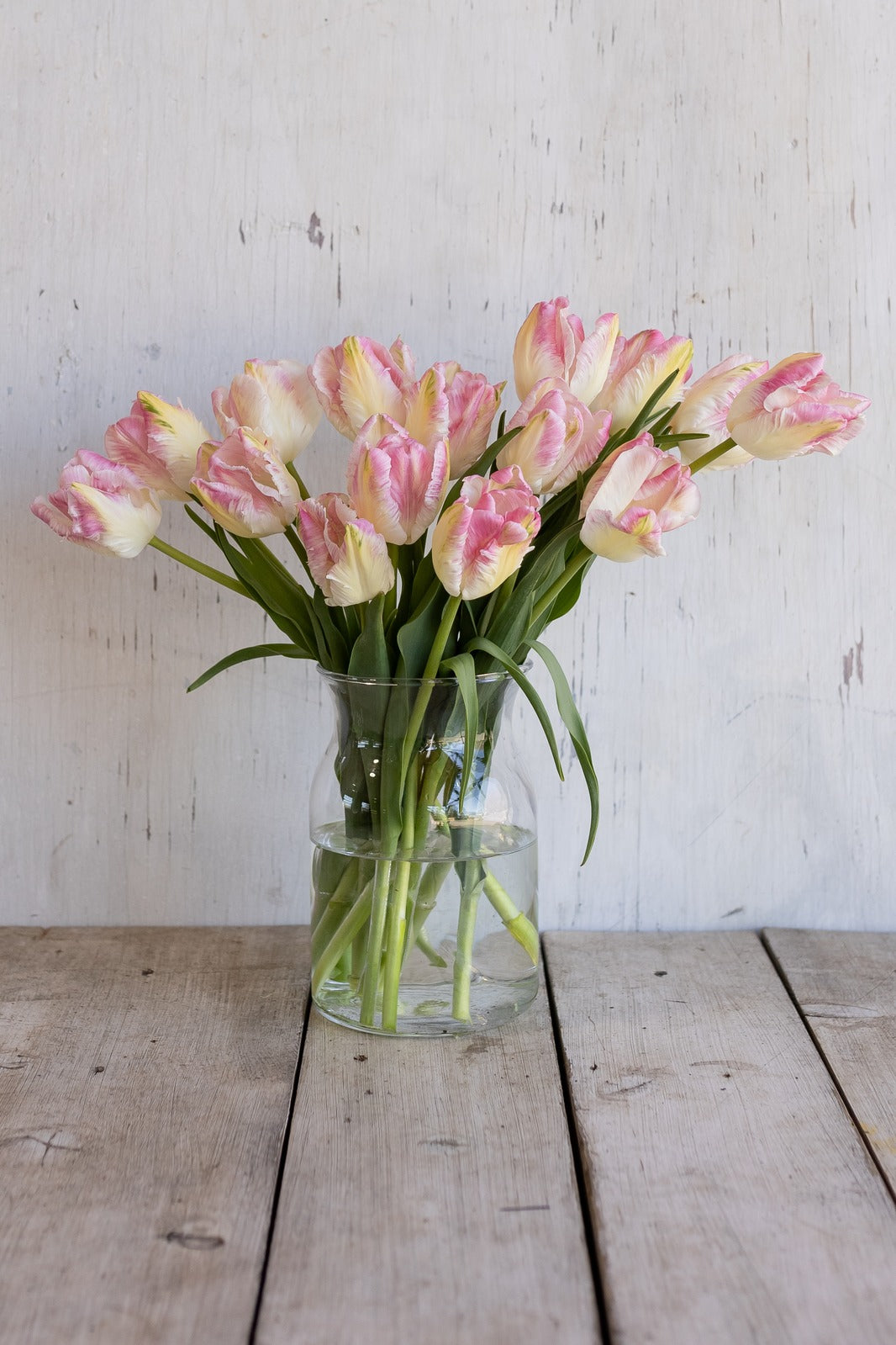 Tulips — soft pink