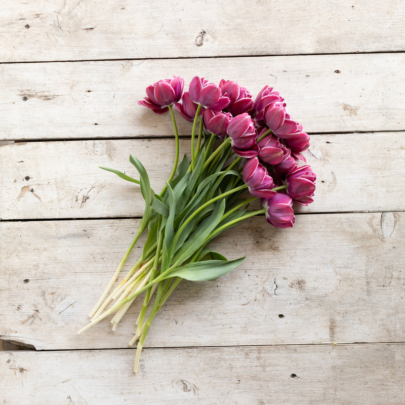 Purple-pink tulips with long green stems laid diagonally on pale wooden boards.